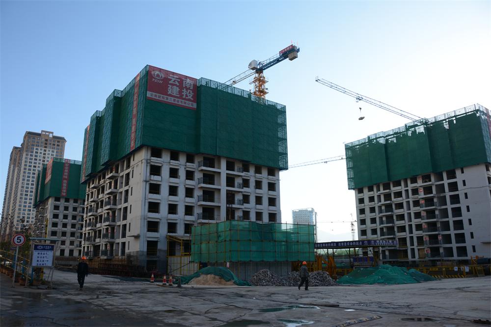 保山工貿(mào)園區(qū)驗(yàn)收修.JPG